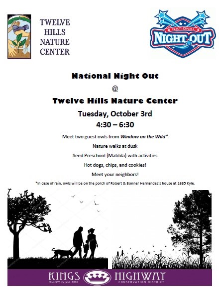 NNO Flyer (2)